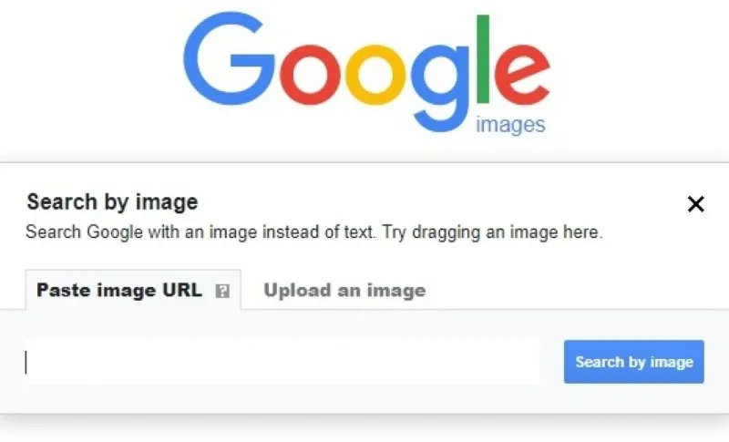 Google Reverse Image Search